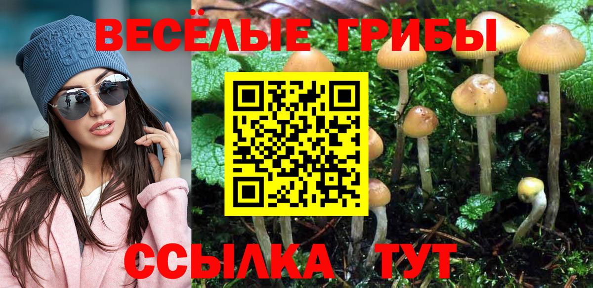Галлюциногенные грибы MAGIC MUSHROOMS Тихвин
