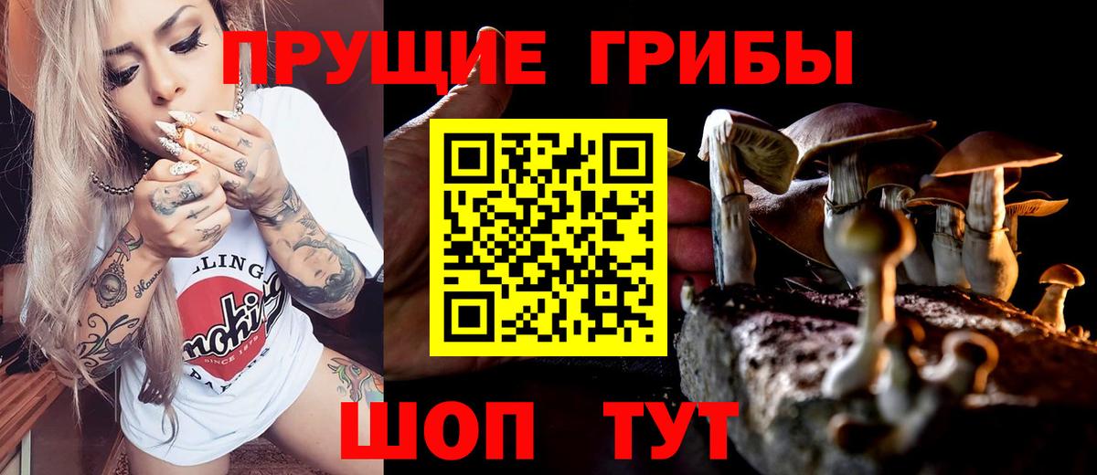 Галлюциногенные грибы MAGIC MUSHROOMS  Псилоцибиновые грибы ЛСД  Тихвин  Вход с VPN 